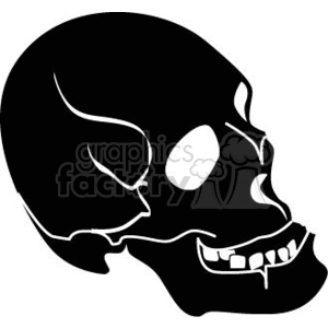 Black And White Skull Clipart Royalty Free Clipart 371991