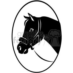 A black and white clipart image of a horse's head inside an oval frame. The horse is wearing a bridle.