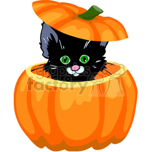 kitten hiding in a pumpkin