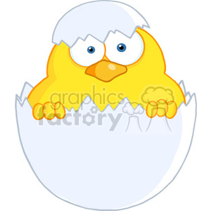   4746-Royalty-Free-RF-Copyright-Safe-Surprise-Yellow-Chick-Peeking-Out-Of-An-Egg-Shell 