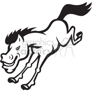 black and white mustang horse jumping