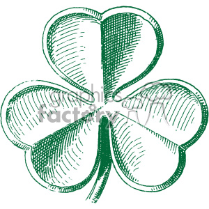 Green hand-drawn clipart image of a three-leaf clover.