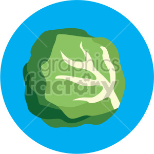 lettuce on blue circle background