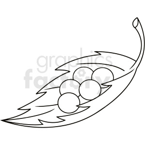 black and white cartoon caterpillar eggs chrysalis