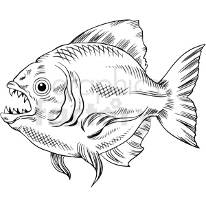   The clipart image is a black and white vector illustration of a realistic-looking fish, specifically a piranha, which is a predatory freshwater fish found in South America. The intricate details of the fish