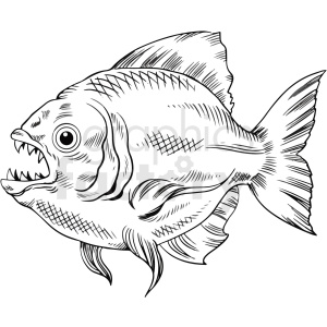 The clipart image is a black and white vector illustration of a realistic-looking fish, specifically a piranha, which is a predatory freshwater fish found in South America. The intricate details of the fish's scales, fins, and teeth are depicted in the image, suggesting a highly-detailed and lifelike appearance.