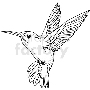 A black and white clipart image of a hummingbird in flight, detailed with intricate feather and wing illustrations.