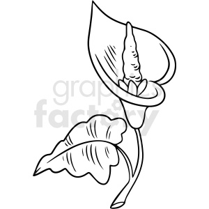 Line art clipart of a calla lily flower for a tattoo design.