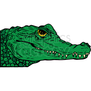 Clipart image of a crocodile head in green, featuring sharp teeth and a yellow eye.