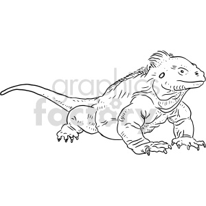 The image features a line drawing of an iguana, which is a type of large lizard. The illustration captures the distinct spiky ridge along the iguana's back, its long tail, and the characteristic dewlap (the skin hanging beneath the jaw). The iguana is depicted in a side profile with detailed line work suggesting its scaly skin texture.