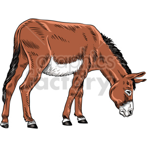 The clipart image shows a vector graphic of a donkey, which is an animal commonly referred to as a jackass.

