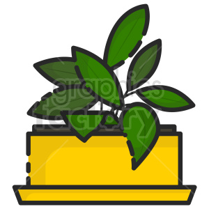 plant vector clipart