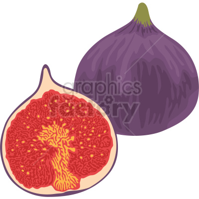 fig fruit vector clipart