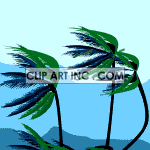 Animated blowing palmtrees during a tropical storm