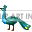 peacock_1053