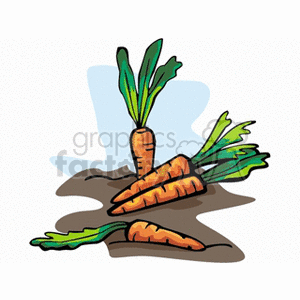 The image depicts three carrots with green leafy tops lying on the ground, partly on a patch of soil, suggesting they have been freshly harvested from a garden. The carrots are orange and the illustration style is indicative of clipart, commonly used in educational materials, presentations, or as web graphics.