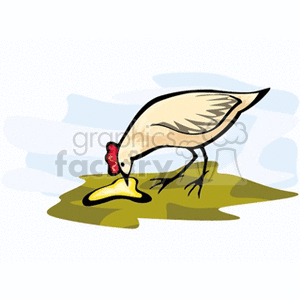 This clipart image depicts a stylized representation of a chicken, possibly a hen or rooster, pecking at the ground. The bird has prominent features such as a red comb and wattle, which are common in chickens. The chicken is shown in profile view with its beak touching the ground, indicating it might be feeding. The background is abstract with simple shapes suggesting an outdoor setting. 
