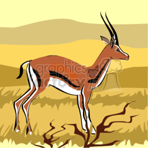 Gazelle