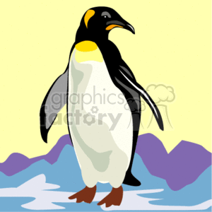 The image shows a close-up of a penguin standing on a sheet of ice. The penguin has a blac and yellow head and its body is mostly black and white. Its beak is closed and its wings are pushed out slightly.