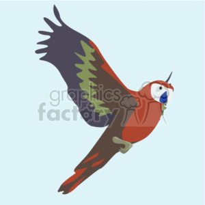 This clipart image shows a flying red-wing macaw in the air. The background is a light blue.