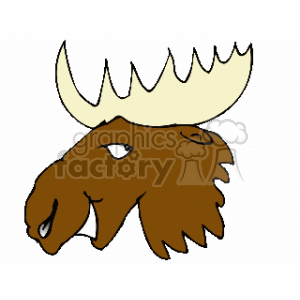 Cartoon Male Moose Head