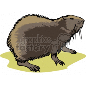 The image is a clipart illustration of a groundhog. It features a gray, fuzzy animal with prominent whiskers, indicating it is a groundhog, which is depicted standing on the ground.