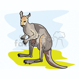 The image is a clipart illustration of a kangaroo. The kangaroo appears to be standing on its hind legs with its tail supporting it on the ground, giving the impression that it could be ready to jump. The animal is depicted in a cartoonish style, with a simplified representation characteristic of clipart.