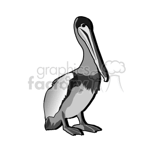 The image shows a clipart of a pelican, which is rendered in a simplistic style with minimal shading. The pelican is standing upright, showcasing its long beak and large body, which are characteristic features of these birds.