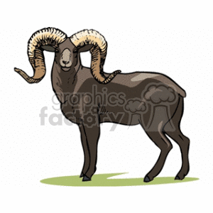 Clip Art of a Ram with Curved Horns