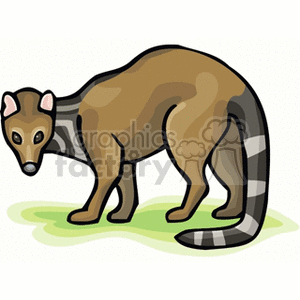 The image depicts a stylized cartoon of a lemur, which is a type of primate native to Madagascar. The lemur is characterized by its prominent tail, which has alternating black and white stripes, and its brown and tan body.