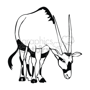 The image is a black-and-white drawing of an antelope with long horns. It is facing to the right. The animal has two large straight horns, both pointing upwards.