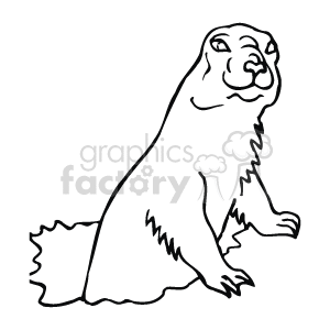 The line art drawing shows a groundhog or woodchuck, a type of rodent that belongs to the squirrel family. It is standing on its hind legs leaning out of a hole, looking straight ahead with its front paws resting on the ground