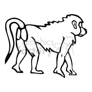 Line art drawing of a baboon walking away