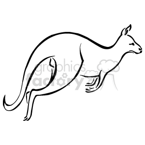Kangaroo Line Art