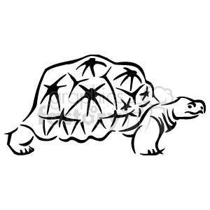   The image is a black and white line drawing of a turtle. The turtle