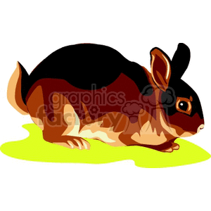 This clipart image features a stylized illustration of a brown and black rabbit with prominent eyes and distinct coloring. The rabbit appears to be sitting on a patch of green, which might symbolize grass.