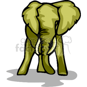   The image is a clipart of an elephant with a stylized appearance. The elephant is depicted in a forward-facing stance, with prominent tusks and a pair of large ears. Its skin is illustrated in shades of green and yellow, unlike the typical grey color of real elephants, likely for artistic effect. The elephant appears to be standing on a flat surface with a small grey shadow beneath it, suggesting that it is on a plain or solid ground. The image captures the animal