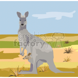 The image features an adult kangaroo with a joey, which is a baby kangaroo, peeking out from its mother's pouch. The setting suggests an Australian landscape with grass, small bushes, and a sky with clouds in the background.