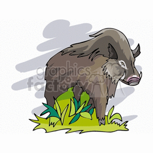 The image is a cartoon-style clipart of a wild boar. The boar is illustrated with a typical coloration of brown and gray, with tufts of hair and a prominent snout. It stands amidst some green foliage, which suggests a natural, possibly forested habitat.