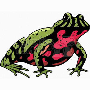 This clipart image features a cartoon-style drawing of a frog. The frog has green skin with darker green spots and stripes, and a notable red belly with pink spots. It appears to be a stylized representation of a frog, rather than a specific species.