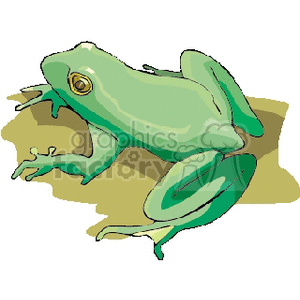 The clipart image depicts a cartoon illustration of a green frog, possibly in mid-leap or sitting on a surface. The frog's body is shown with green hues, and it has prominent eyes and limbs that are characteristic of frogs.