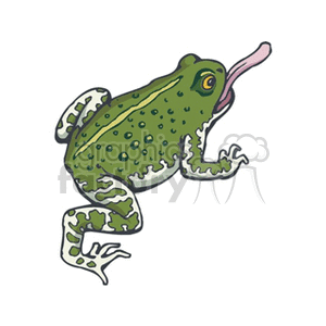 The clipart image displays a cartoon-style illustration of a green frog, noticeable for its wart-like texture on the skin, depicting it in mid-motion, with its tongue extended, likely to catch prey. It closely resembles characteristics associated with a bullfrog, a typical type of large, warty amphibian.
