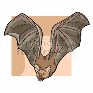 Brown bat with large outstretched wings
