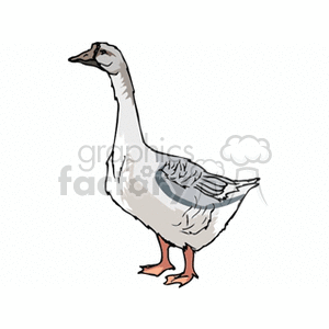 A clipart image of a standing goose with grey and white feathers, and orange feet.