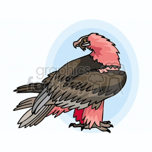 Clipart image of a hawk with brown wings and a pink neck standing against a light blue circular background.