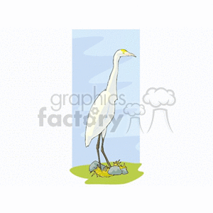 A clipart illustration of a white heron standing on a grassy patch with rocks and a nest, set against a blue sky background.