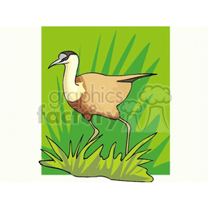 A clipart image of a bird standing on green grass with a green background.