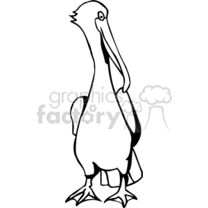 Black and white clipart image of a pelican standing upright.