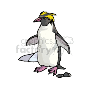 A clipart image of a penguin with yellow crests on its head and pink feet, standing next to a few stones.