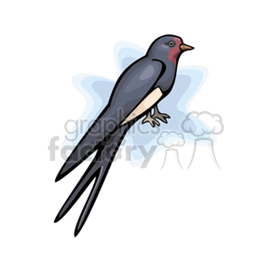 Clipart image of a swallow bird with a blue background.